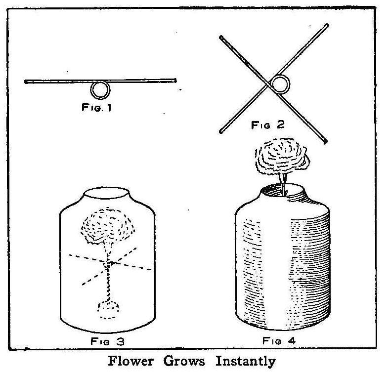 Flower Grows Instantly