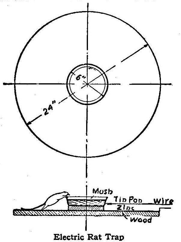 Electric Rat Trap