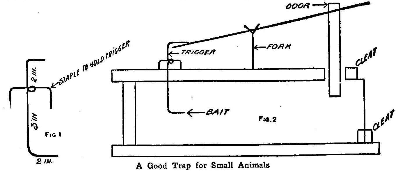 A Good Trap for Small Animals