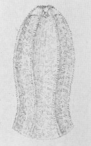 From The Sea&mdash;E. A. Wilson, del.