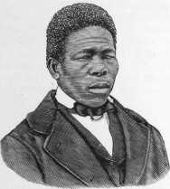 PETER STILL