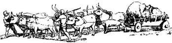 [Illustration:
                 His Head goeth to Court]
