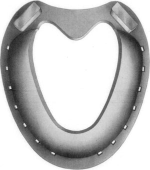 Fig. 35—Inferior (convex) surface of Cochran shoe. Fig. 35—Inferior (convex) surface of Cochran shoe.