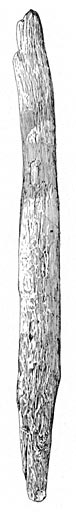 Implement for Throwing.
Length, 67 cm.