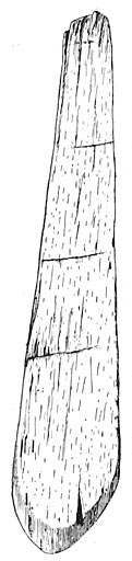 Ploughshare Made of Oak.
Length, 20.5 cm.
