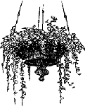 FLOWER BASKET FLOWER BASKET