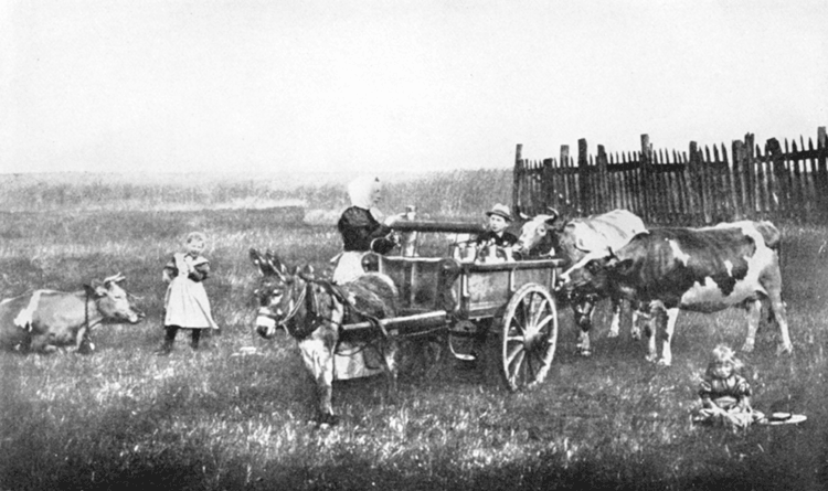 A GERMAN MILK WAGON. A GERMAN MILK WAGON.