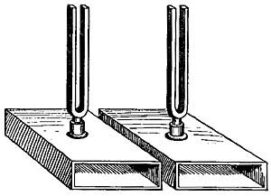 FIG. 174.&mdash;When the first fork vibrates, the second
responds.