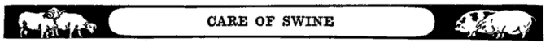 CARE OF SWINE CARE OF SWINE