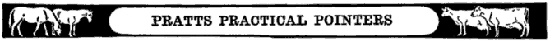 PRATTS PRACTICAL POINTERS PRATTS PRACTICAL POINTERS