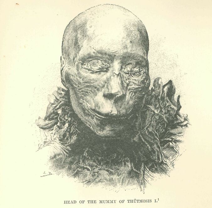 353.jpg Head of the Mummy Of Th�tmosis I. 