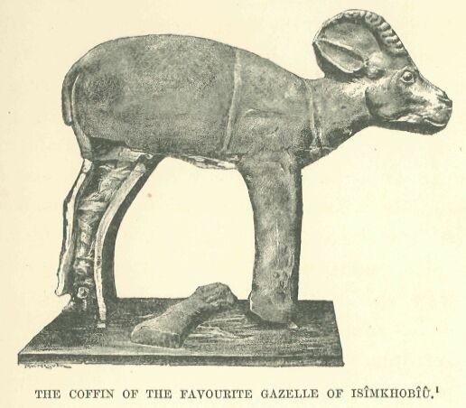 027.jpg the Coffin of The Favourite Gazelle Of IsÎmkhobiu