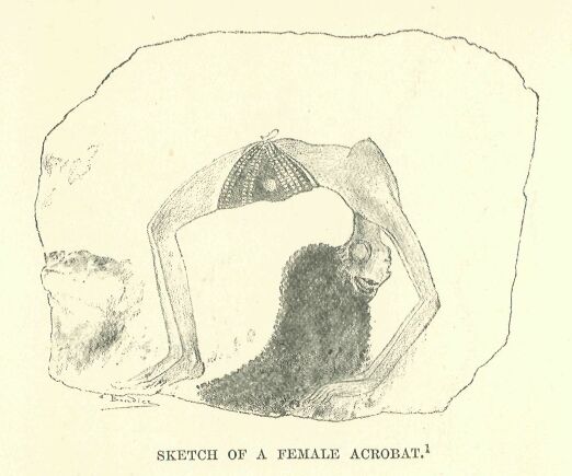036.jpg Sketch of a Female Acrobat