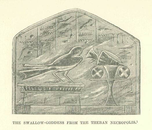 048.jpg the Swallow-goddess from The Theban Necropolis