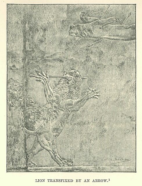 179.jpg Lion Transfixed by an Arrow