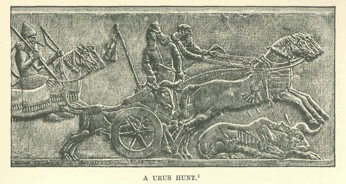 181.jpg a Ubus Hunt