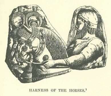 185a.jpg Harness of the Horses