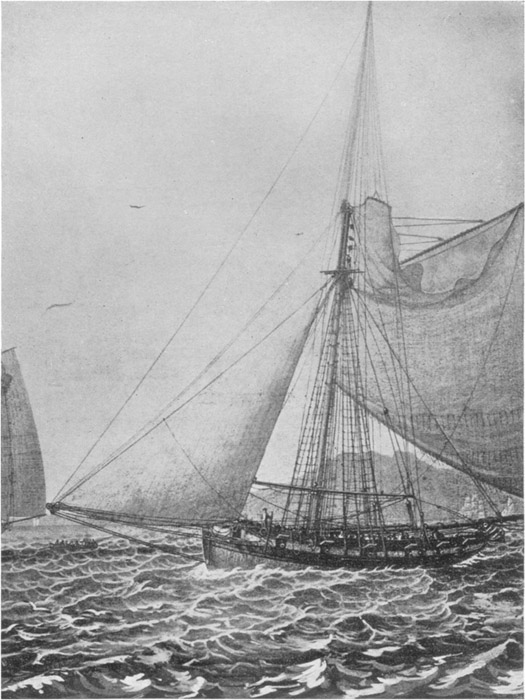H.M. Cutter Wickham