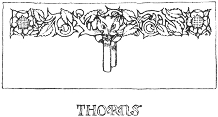 Thorns Thorns