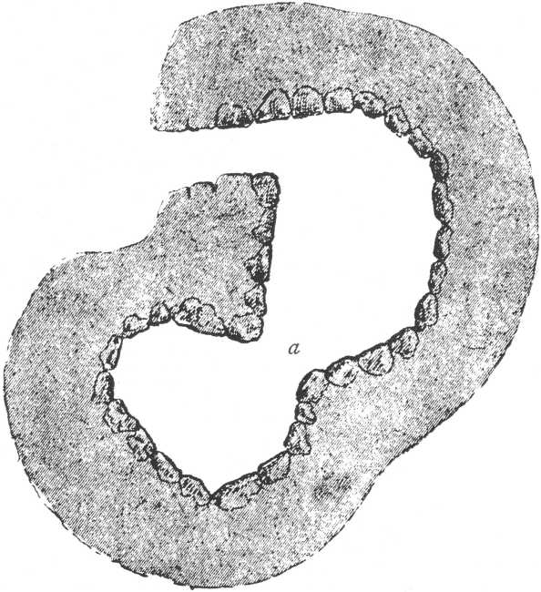 PLATE V. PLATE V.