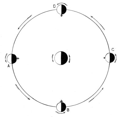Phases and Rotation of the Moon. Phases and Rotation of the Moon.