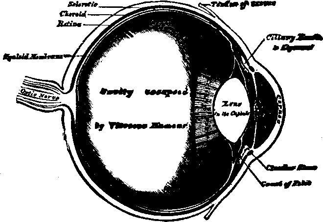 Illustration:
Fig. 62.