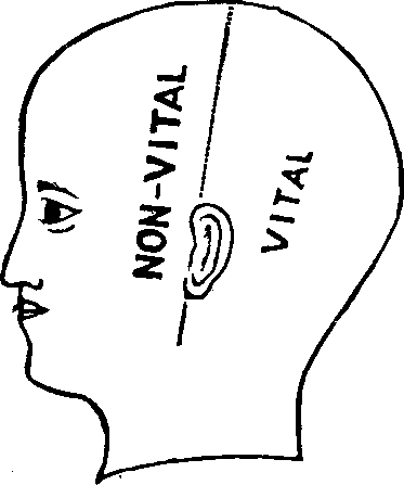 Illustration:
Fig. 78.