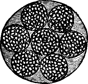 Illustration:
Fig. 8.