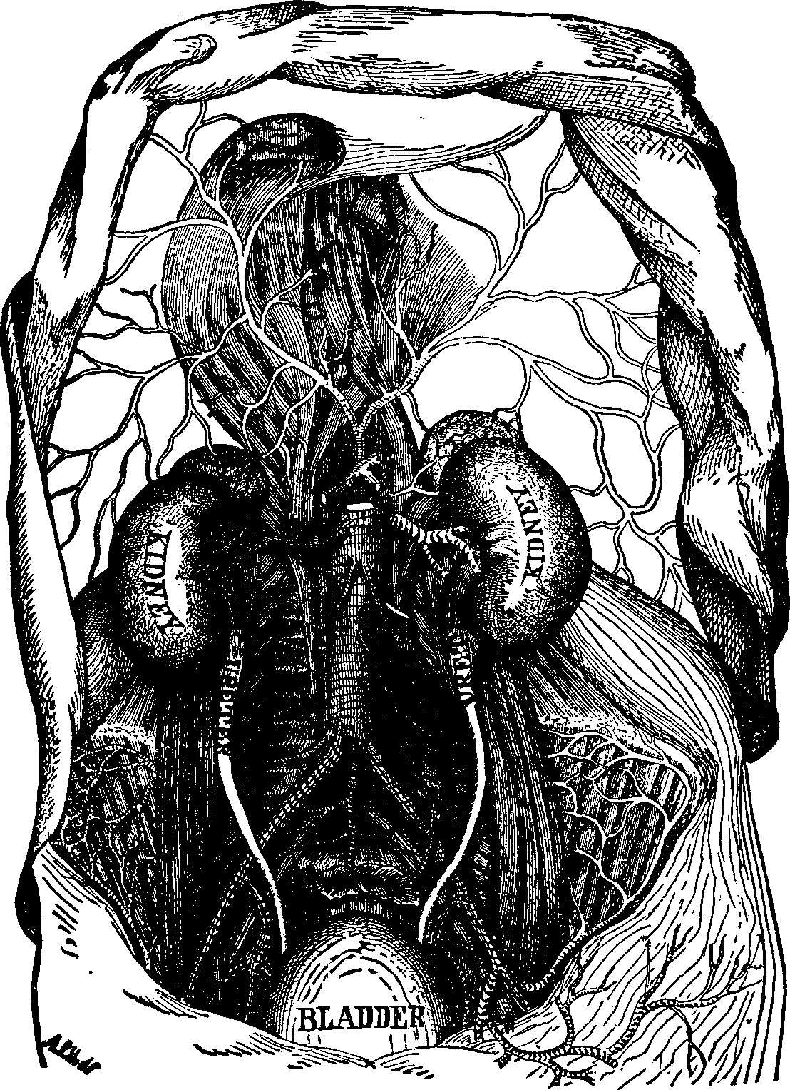 Illustration:
Fig. 1.