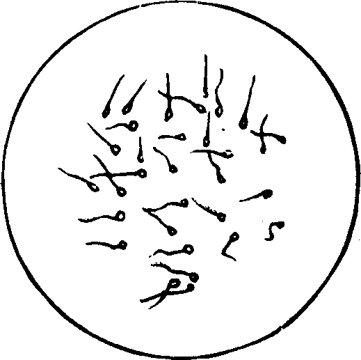 Illustration:
Fig. 9.