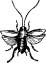 Cockroaches Cockroaches