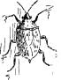 The Great Bug Family The Great Bug Family