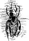 The Water Boatman The Water Boatman