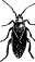 The Troublesome Red Bug The Troublesome Red Bug