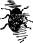 The Odd Spittle Insect The Odd Spittle Insect