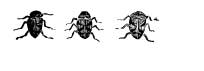 The Odd Spittle Insect The Odd Spittle Insect