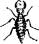 The Ant Lion The Ant Lion
