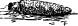 The Little Caddice Flies The Little Caddice Flies
