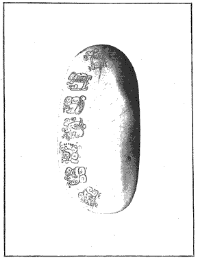 PL. LXIX SHELL BEARING MAYA GLYPHS
This shell, on which are engraved seven Maya hieroglyphs, was found in
Belize and courteously sent to the Bureau of American Ethnology by Sir
Alfred Moloney, Governor of British Honduras. The shell is here figured
for the purpose of placing it before students of Central American
paleography. PL. LXIX SHELL BEARING MAYA GLYPHS
This shell, on which are engraved seven Maya hieroglyphs, was found in
Belize and courteously sent to the Bureau of American Ethnology by Sir
Alfred Moloney, Governor of British Honduras. The shell is here figured
for the purpose of placing it before students of Central American
paleography.