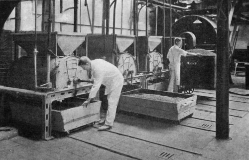 ROASTING CACAO BEANS.
(Messrs. Cadbury Bros'. Works, Bournville).