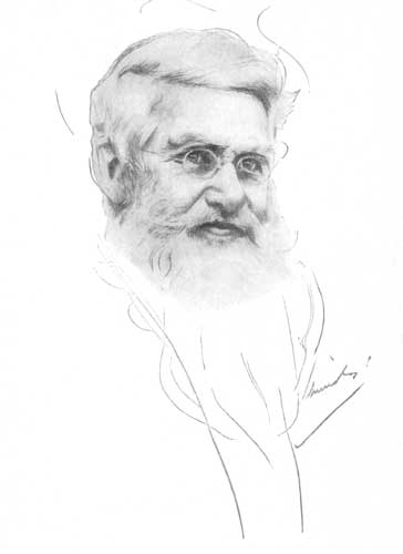 WALLACE WALLACE