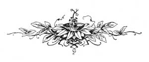 Chapter footer Chapter footer