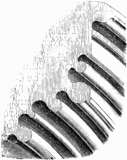 EARLY ENGLISH WINDOW MOULDING. Illustration: EARLY ENGLISH WINDOW MOULDING.