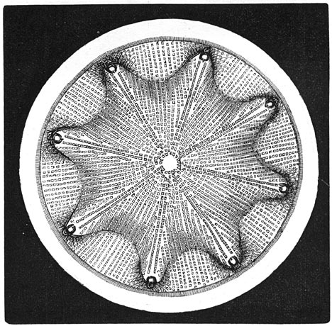 Fig. 39. Diatom&euml;e (400 malen vergroot).