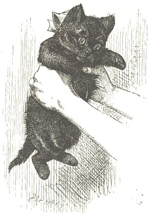 Black Kitten.  From &ldquo;Through the Looking-Glass,&rdquo;
1871.  Drawn by John Tenniel; engraved by Dalziel Brothers