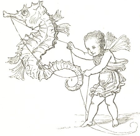Boy and Hippocampus.  From Miss E. Keary&rsquo;s &ldquo;Magic
Valley,&rdquo; 1877.  Drawn by &ldquo;E. V. B.&rdquo; (Hon. Mrs.
Boyle); engraved by T. Quartley