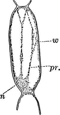 Fig.&nbsp;1.