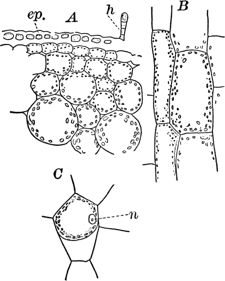 Fig.&nbsp;4.