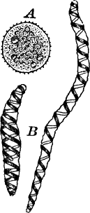 Fig.&nbsp;56.