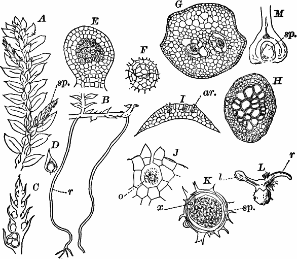 Fig.&nbsp;74.